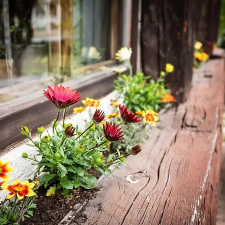 Halali - Dein Kleines An Der Zugspitze 3*