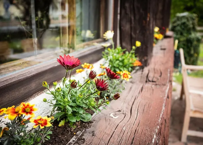 Halali - Dein Kleines An Der Zugspitze 3*