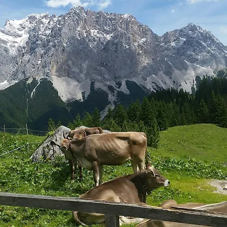 Halali - Dein Kleines An Der Zugspitze 3* Ehrwald